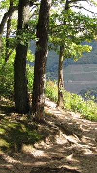 IMG 0383